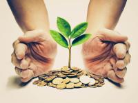 En plante vokser bæredygtigt op af en bunke mønter, som illustration på sociale investeringer